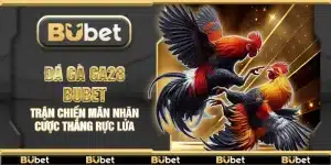 Đá gà GA28 Bubet – Trận chiến mãn nhãn cược thắng rực lửa