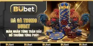 Đá gà Thomo Bubet – Mãn nhãn từng trận đấu nổ thưởng từng phút