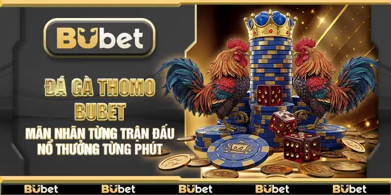 Đá gà Thomo Bubet – Mãn nhãn từng trận đấu nổ thưởng từng phút