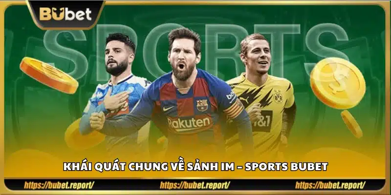 Tổng quan nền tảng thể thao IM tại Bubet