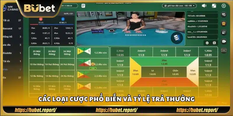 Các hình thức cược thường gặp và mức thưởng tương ứng