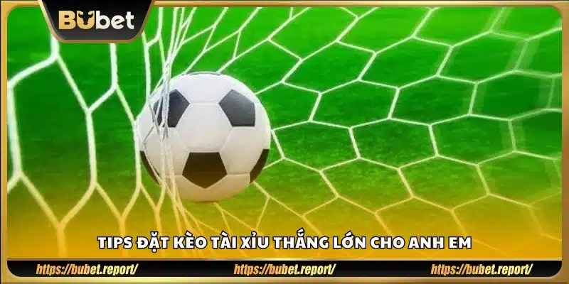 Mẹo soi kèo tài xỉu hiệu quả tăng tỷ lệ thắng