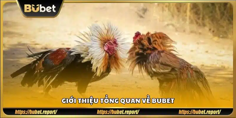 Bubet là gì? Tổng quan về nhà cái uy tín 