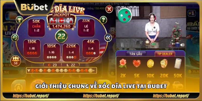 Tổng quan cơ bản về trò chơi xóc đĩa trực tiếp trên Bubet